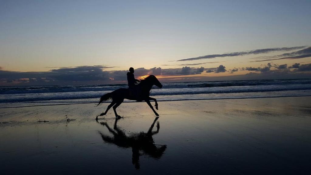 una persona montando un caballo en la playa en Hotel Villa Soleil en Sidi Kaouki