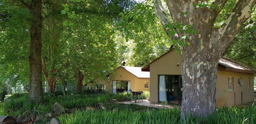 温特顿Berghaven Cottages的树中间的一个小黄色房子