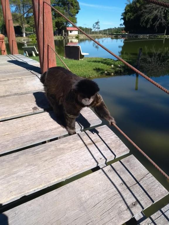  Parque Pousada Macaquinho Turismo