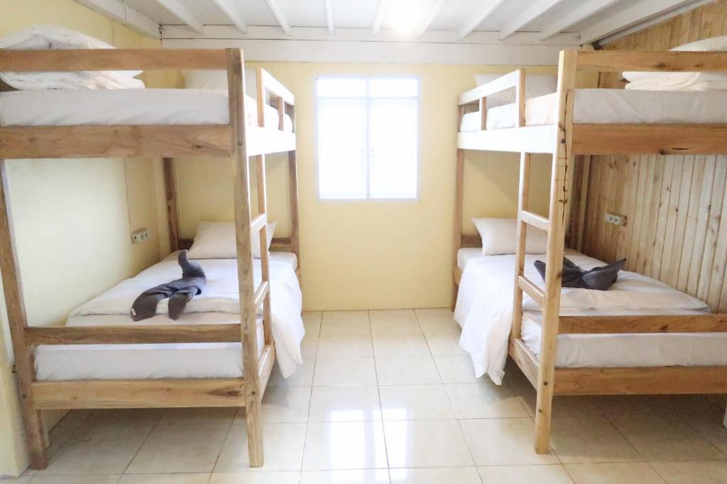 Postel nebo postele na pokoji v ubytování Phinisi Hostel Bira