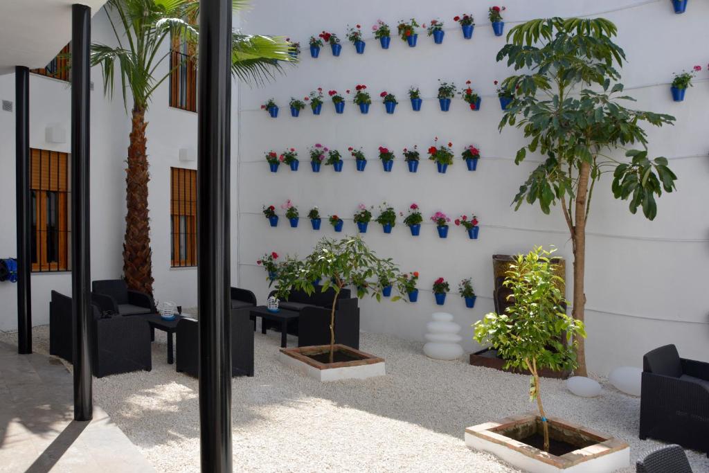 Zahrada ubytování Apartamentos Casa-Patio Las Palmeras