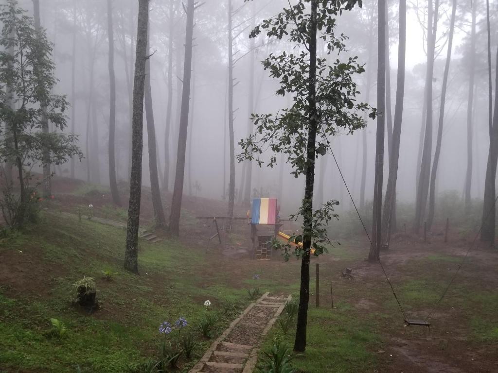 Zahrada ubytování Cabaña rustica a 1km de cascada