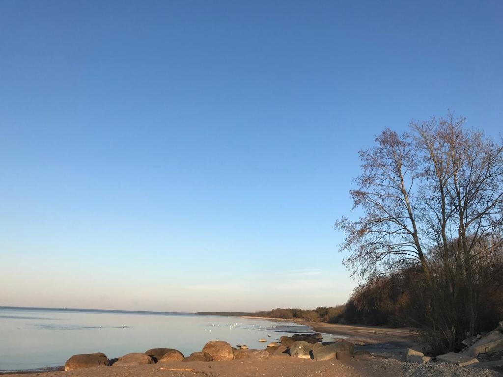 a view of the shore of a lake at Viru pst 20 in Sillamäe