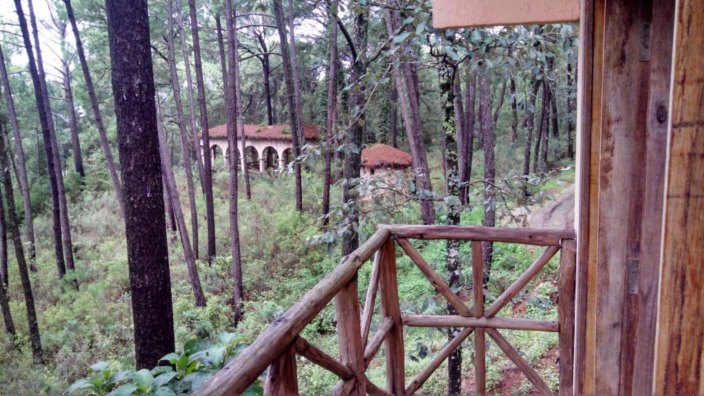 Fotografie z fotogalerie ubytování Cabaña rustica a 1km de cascada v destinaci Mazamitla