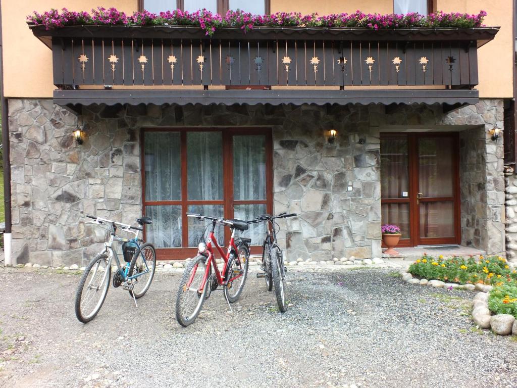 Jízda na kole v ubytování Goralturist nebo okolí