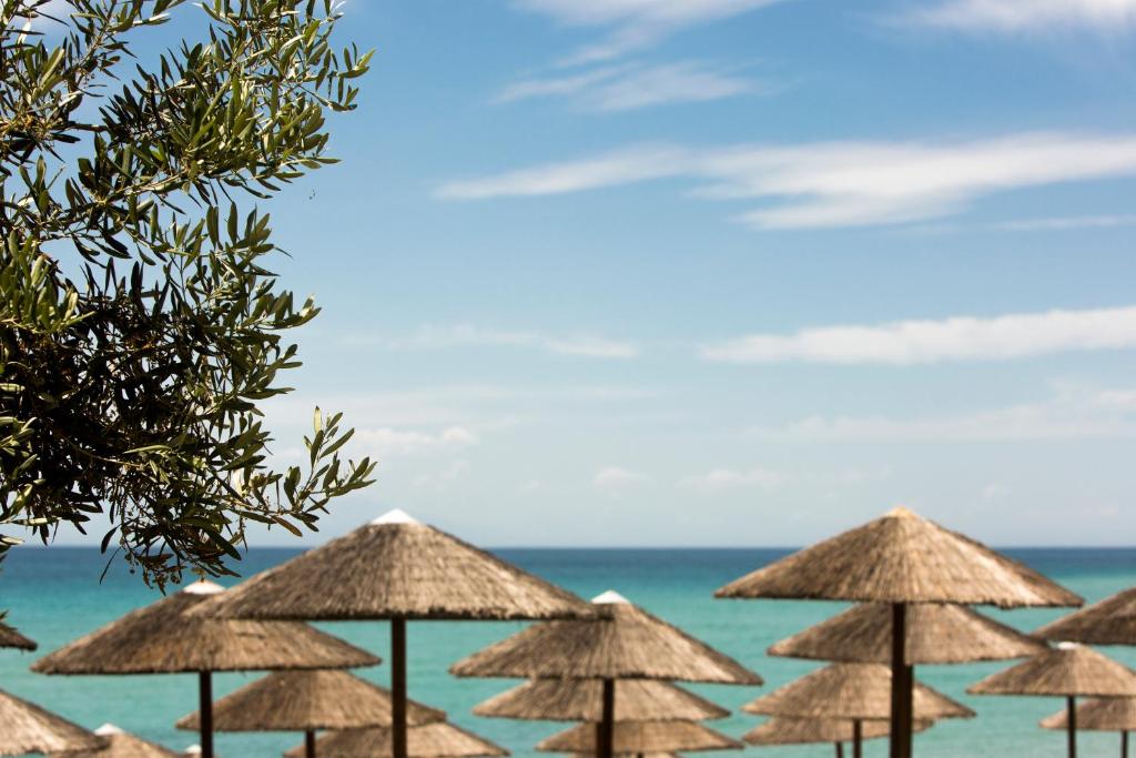 a group of straw umbrellas on the beach at Olympion Sunset Halkidiki in Fourka