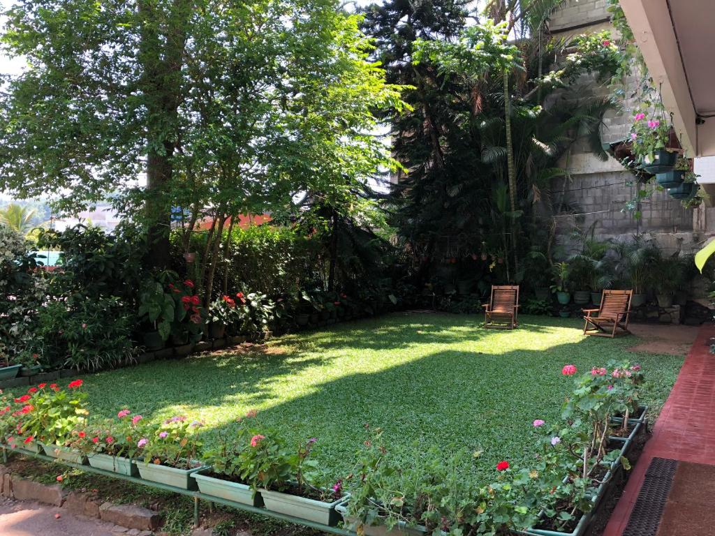 Zahrada ubytování Sharon Inn