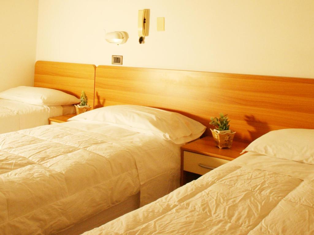 Hotel Zurigo - Resim 40