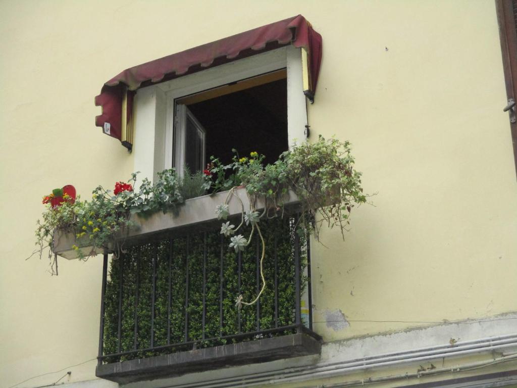 Fotografia z galérie ubytovania La casetta nel cortile v Turíne
