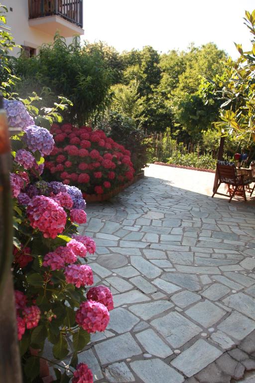 Zahrada ubytování Guesthouse Xenioti