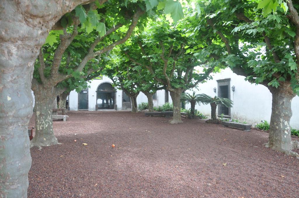 a row of trees in front of a building at Convento de São Francisco in Vila Franca do Campo