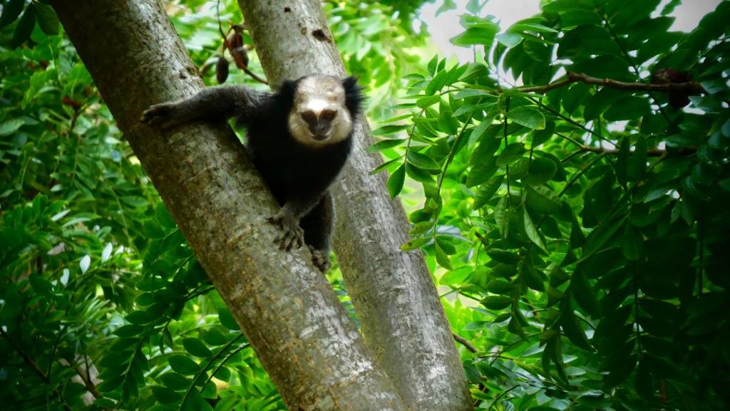  Pousada Camping Porto Grande