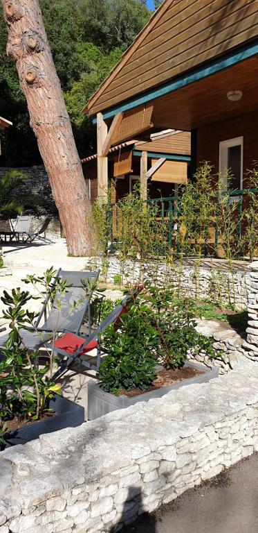 un edificio con un árbol y plantas delante de él en Résidence L'araguina, en Bonifacio