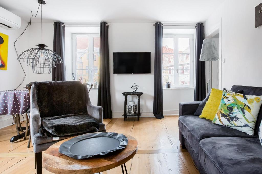 TV a/nebo společenská místnost v ubytování Reflets Sur La Lauch appartements