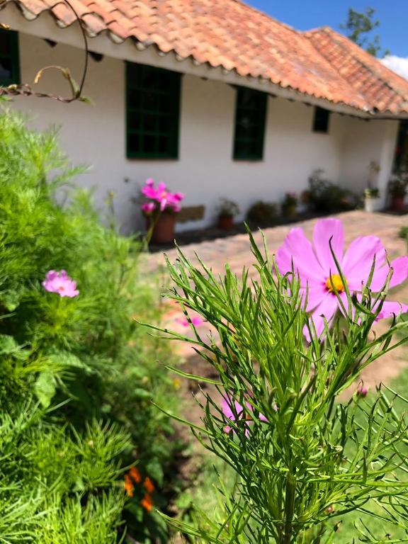 Hostal San Nicolás