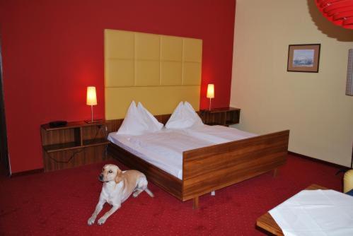 Postel nebo postele na pokoji v ubytování Hotel Drei Hasen