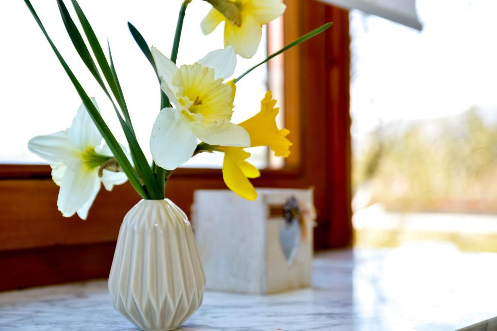 亞伊采的住宿－Soba Lana，白色的花瓶,上面有黄色和白色的花朵