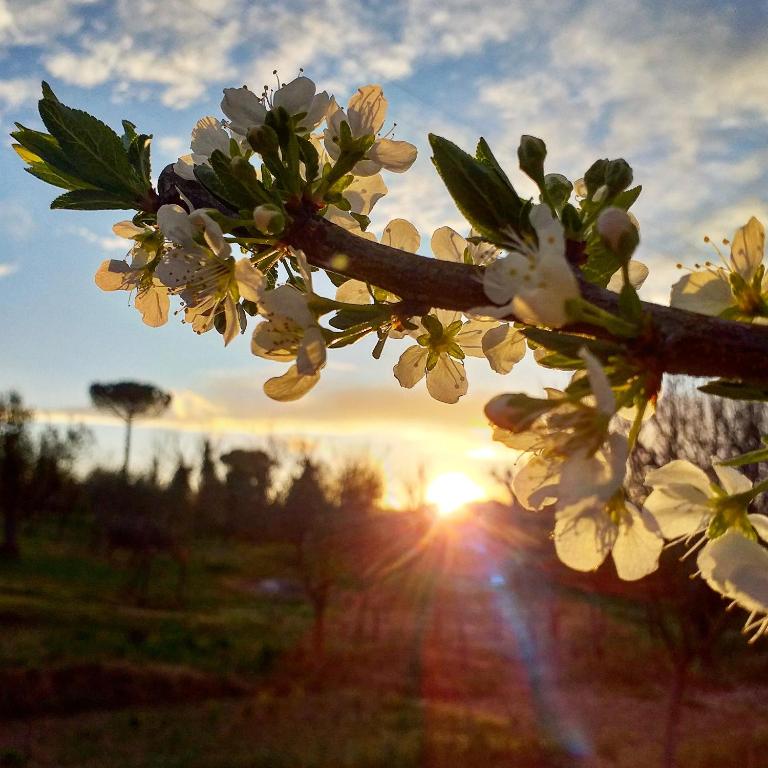 Fotografie z fotogalerie ubytování Podere La Vigna Locazione Turistica v destinaci Orvieto