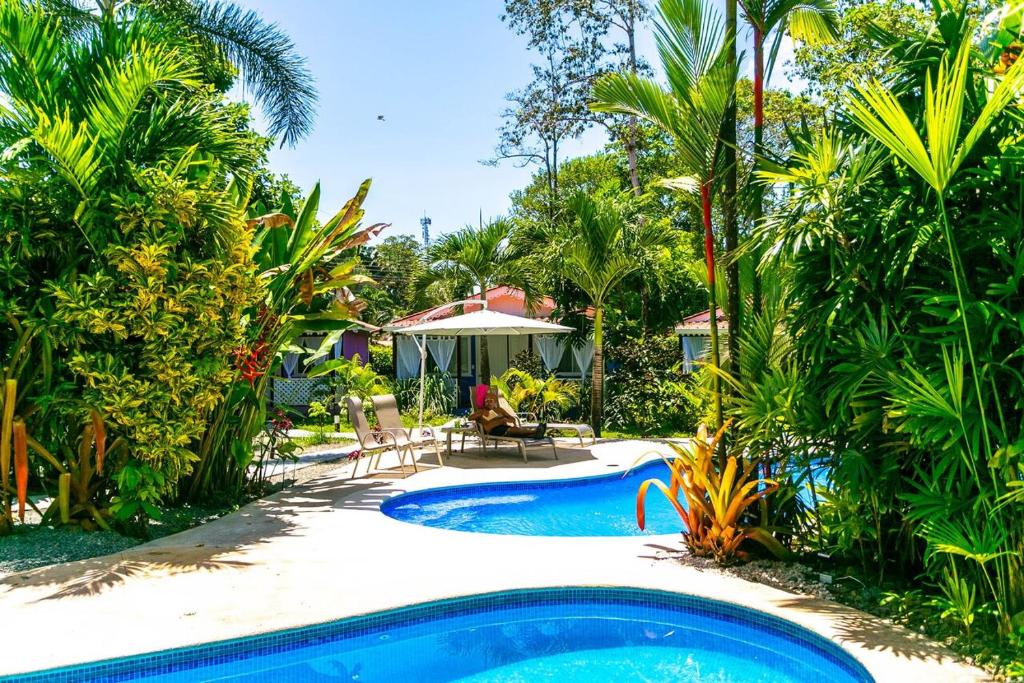 a pool in a yard with palm trees and a house at Hotel El Encanto in Cahuita
