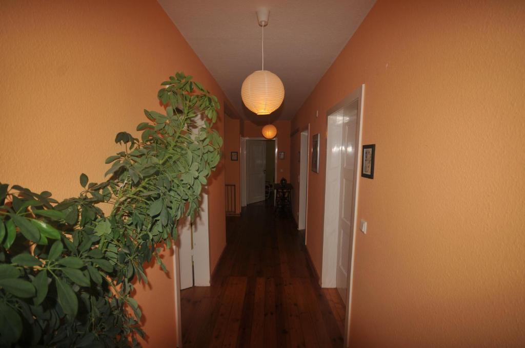 Bed And Breakfast Isidorus - 3