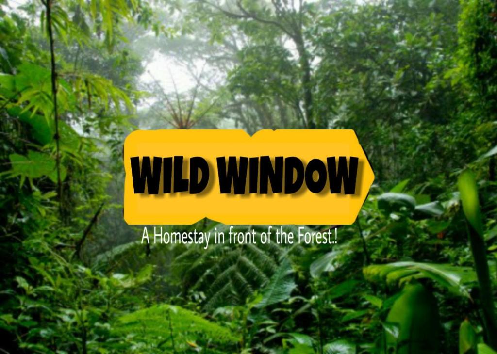 Wild Window - Forest View Homestay
