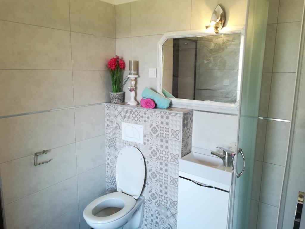 a bathroom with a toilet and a sink and a mirror at Guesthouse Porec in Poreč