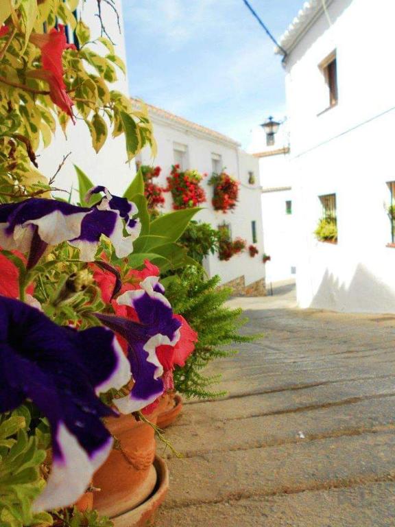 Valleverde Apartment, Mijas Costa – Bijgewerkte prijzen 2022