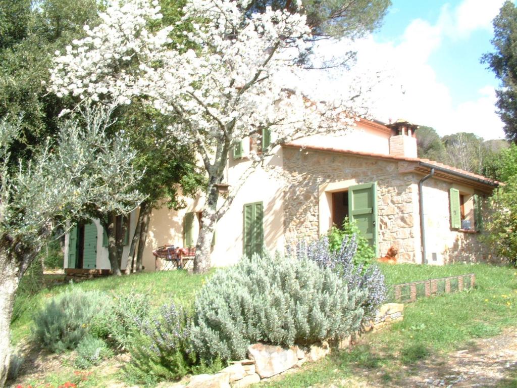 Vonkajšia záhrada v ubytovaní Casa Jacaranda