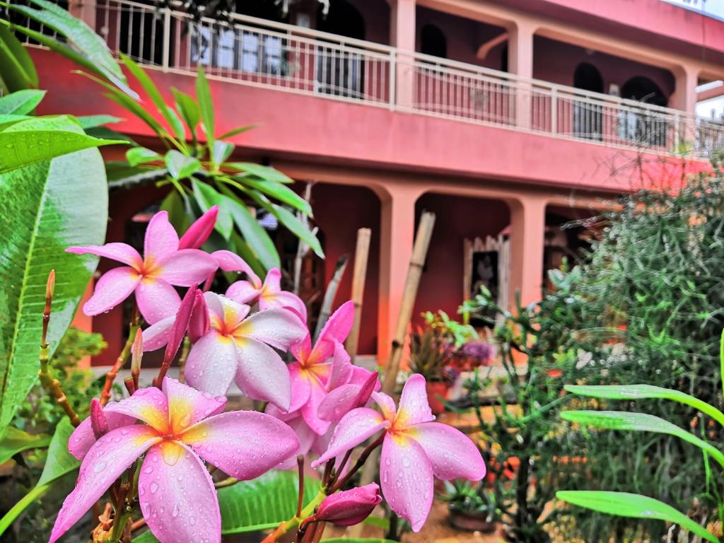 un grupo de flores rosas frente a un edificio en Keryvonne, en Lomé