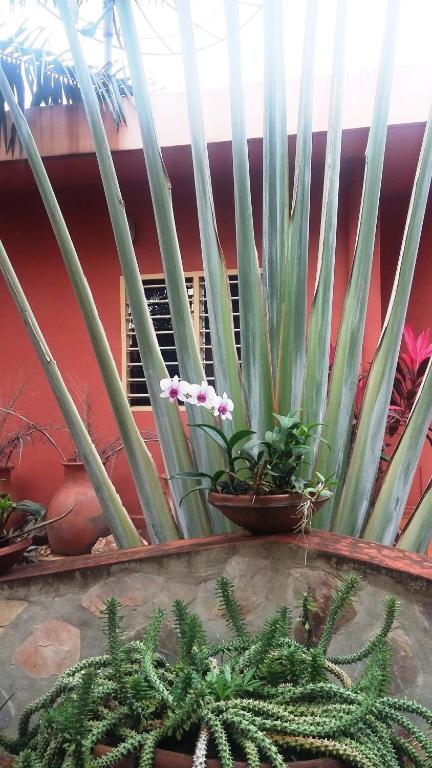Keryvonne - Double Room With Garden View
