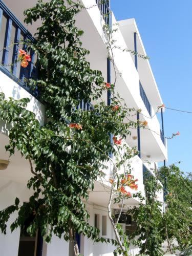 Budova, kde se aparthotel nachází