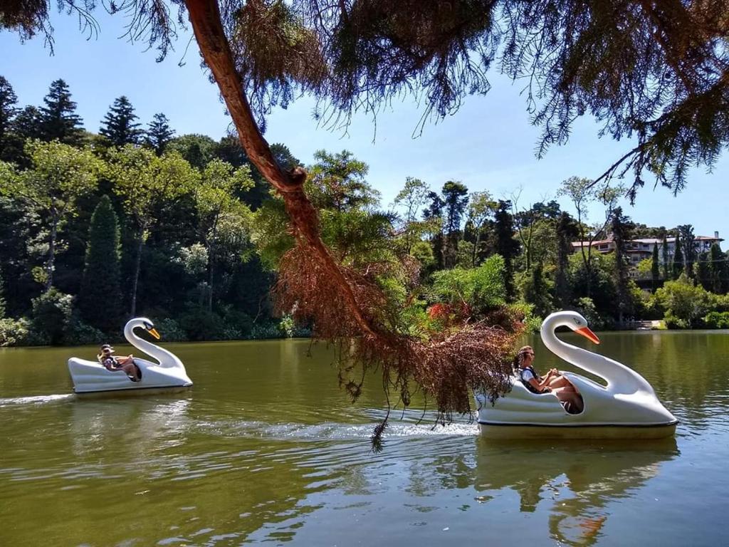  Gramado Apto Só Seu