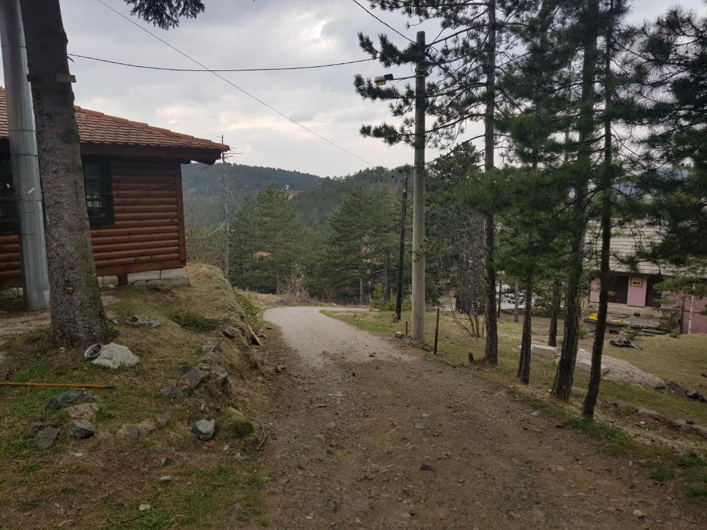 Příroda nedaleko chaty