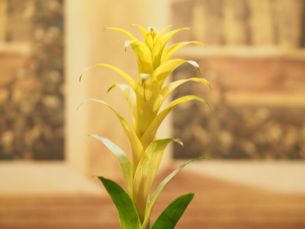 Hotel Santa Croce - Resim 32