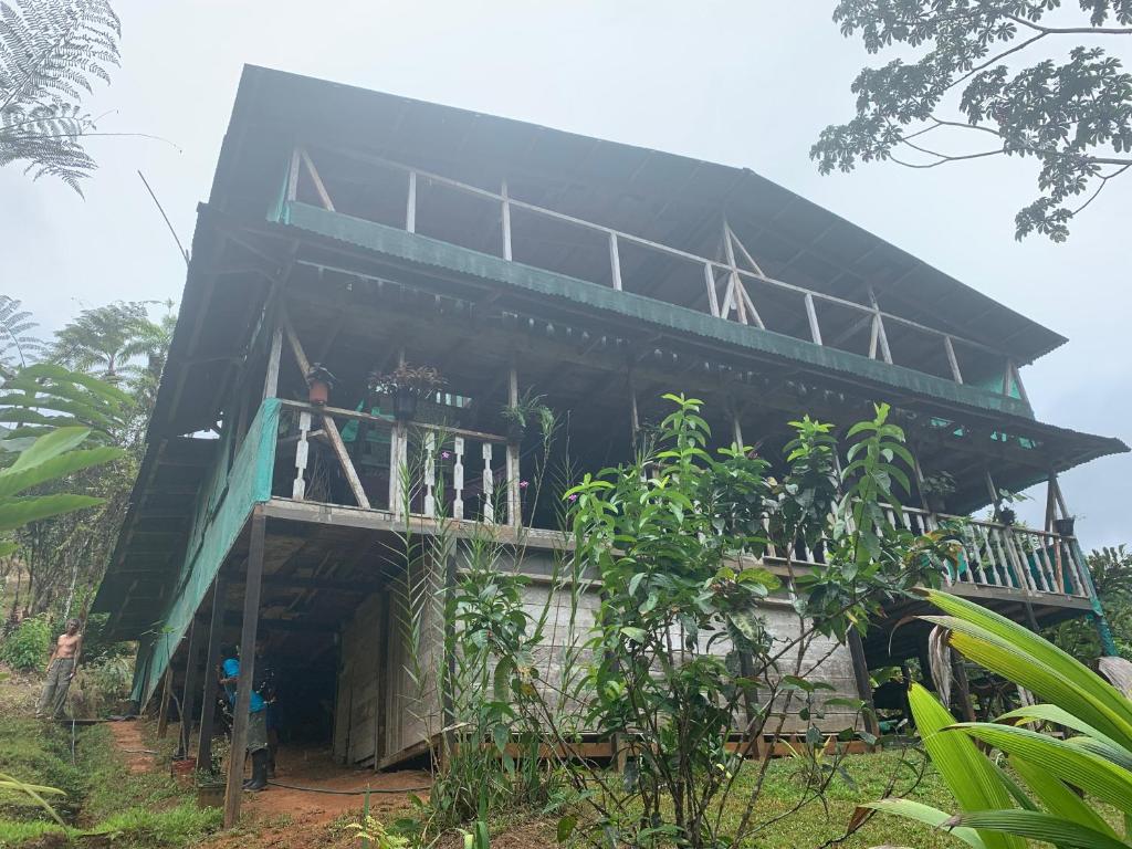 a house in the middle of a forest at Paraisoverde-Corcovado Over Night in Drake