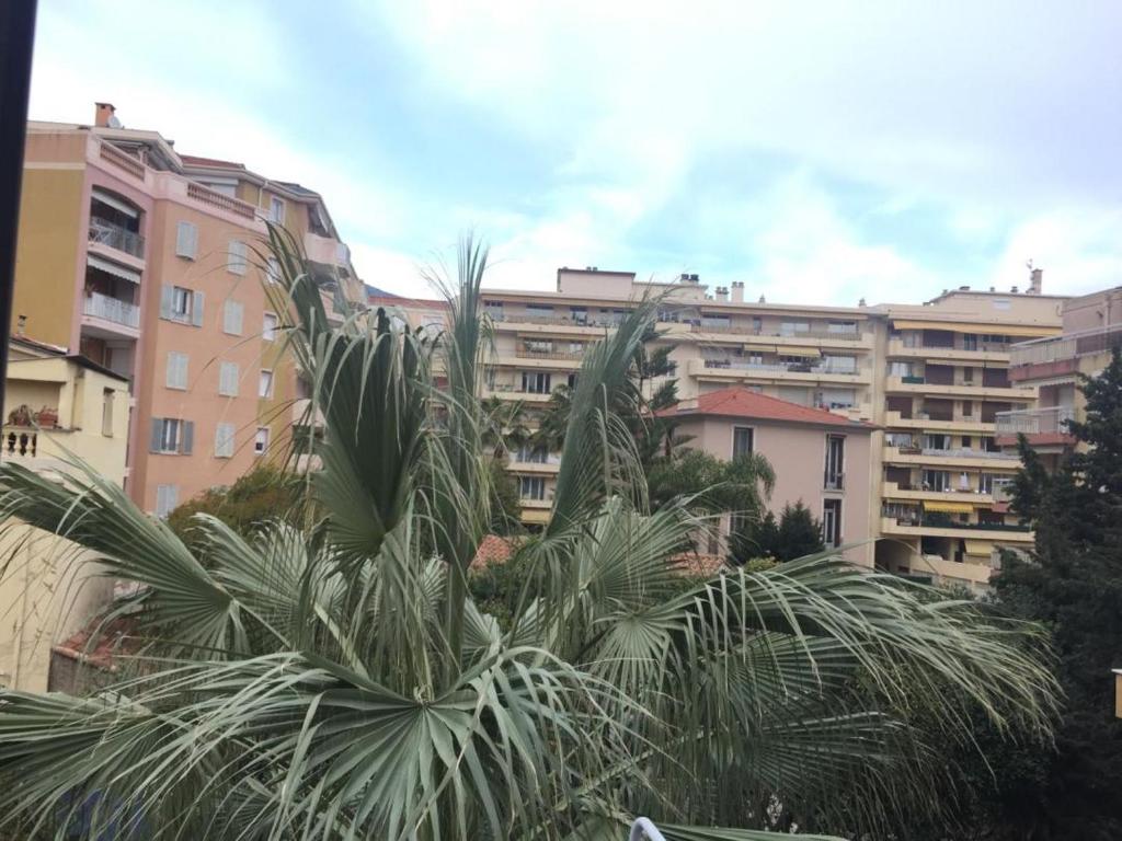 a palm tree in front of a large building at Lovely Apartment in Mention French Riviera in Menton