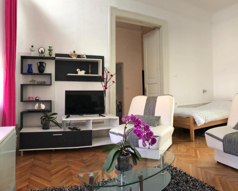 uma sala de estar com uma televisão e um sofá em Guest House Anna Vendégház em Svetozar Miletić