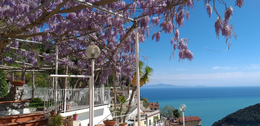 a tree with purple flowers hanging from it next to the ocean at Le Terrazze di Cristina in Vietri sul Mare