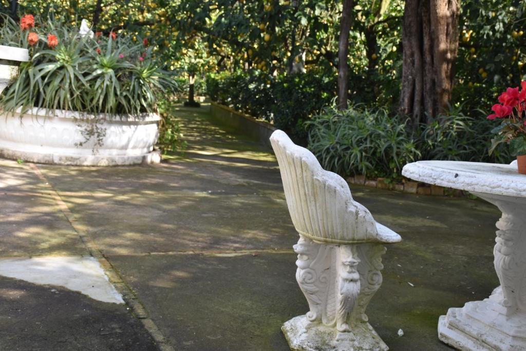 A garden outside casa dei limoni