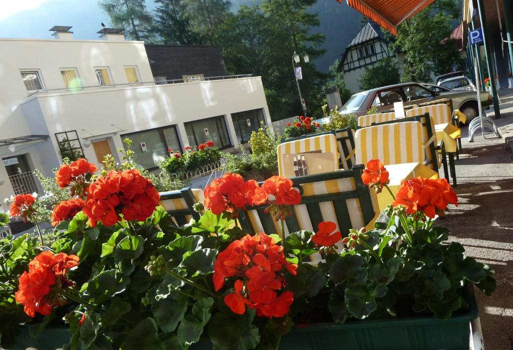 Zahrada ubytování Kurhotel & Hotel Mozart