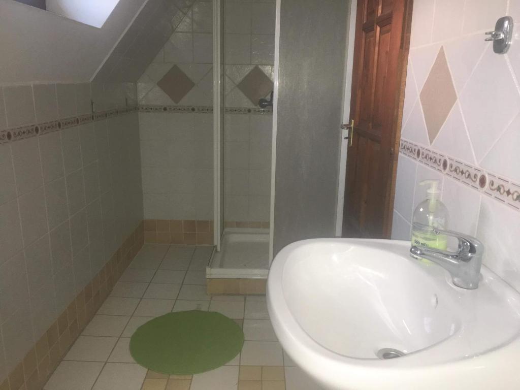 Koupelna v ubytování Cserhátvölgy Panzió
