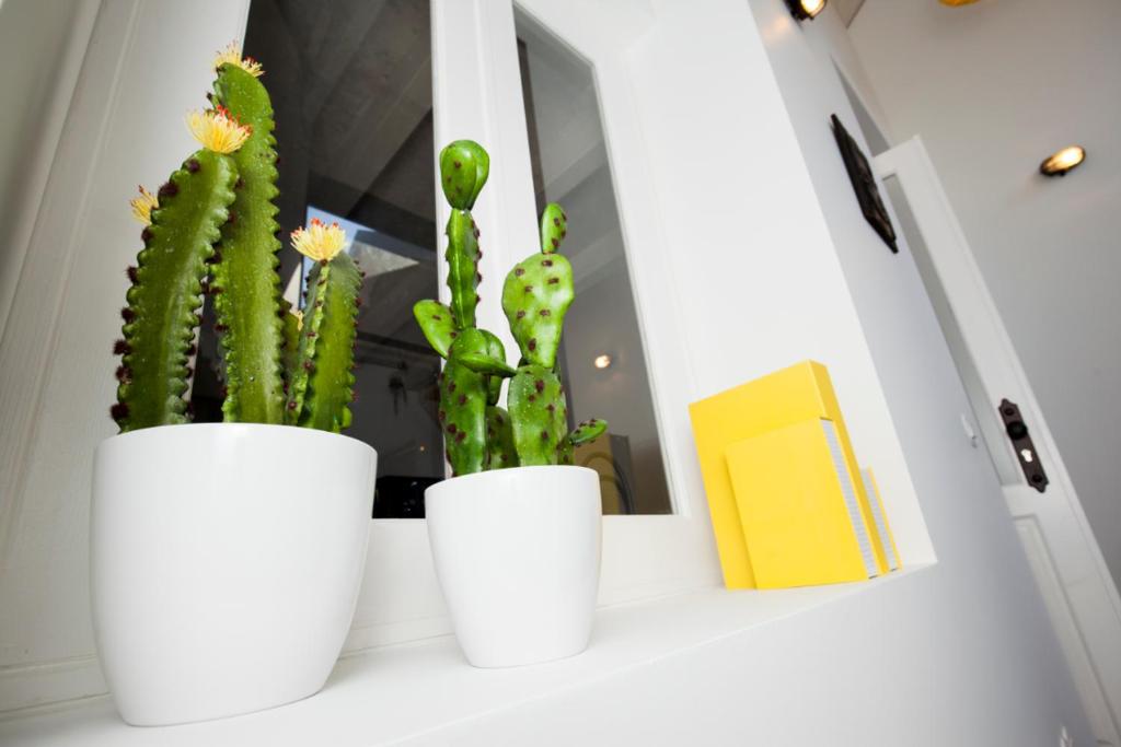 Fotografie z fotogalerie ubytování GET a cactus and books studio v Portu