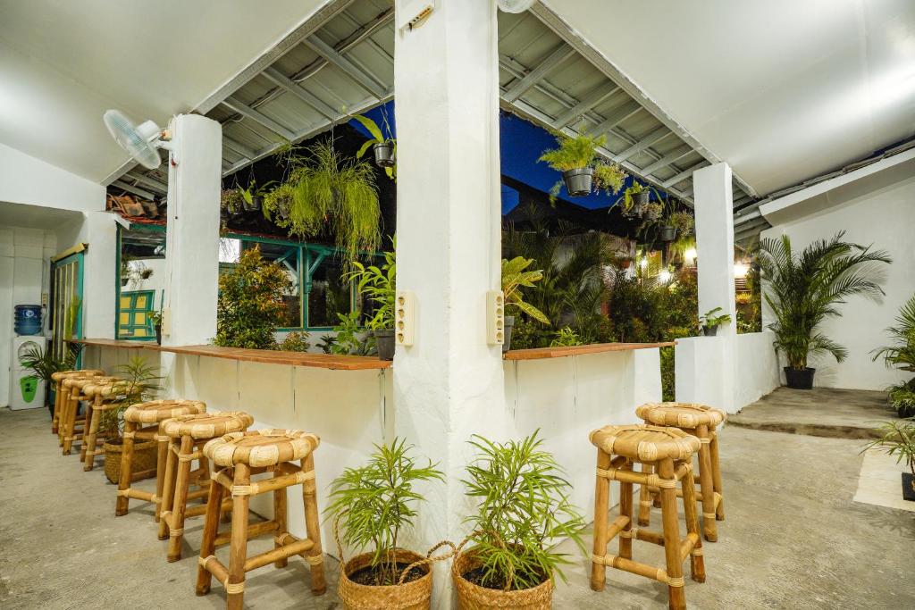 a row of stools in a room with plants at Snooze in Yogyakarta