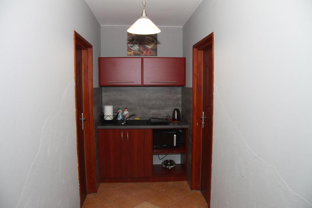 Kuchyň nebo kuchyňský kout v ubytování Willa Larysa Agro