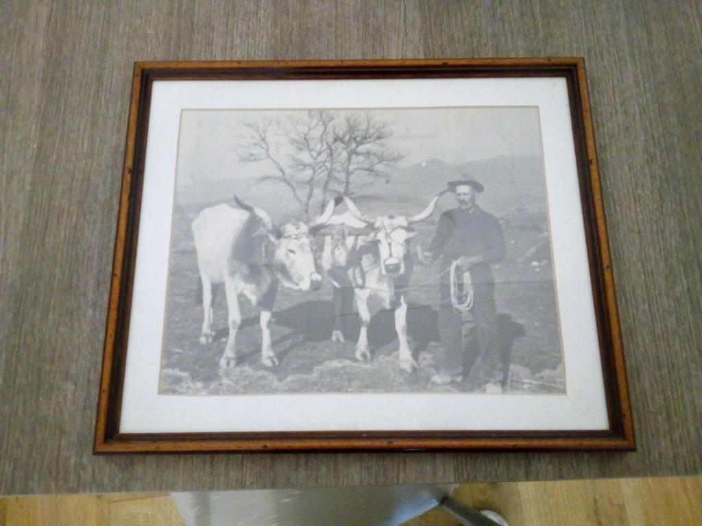 Fotografie z fotogalerie ubytování b&b ilfenicottero v destinaci Orbetello