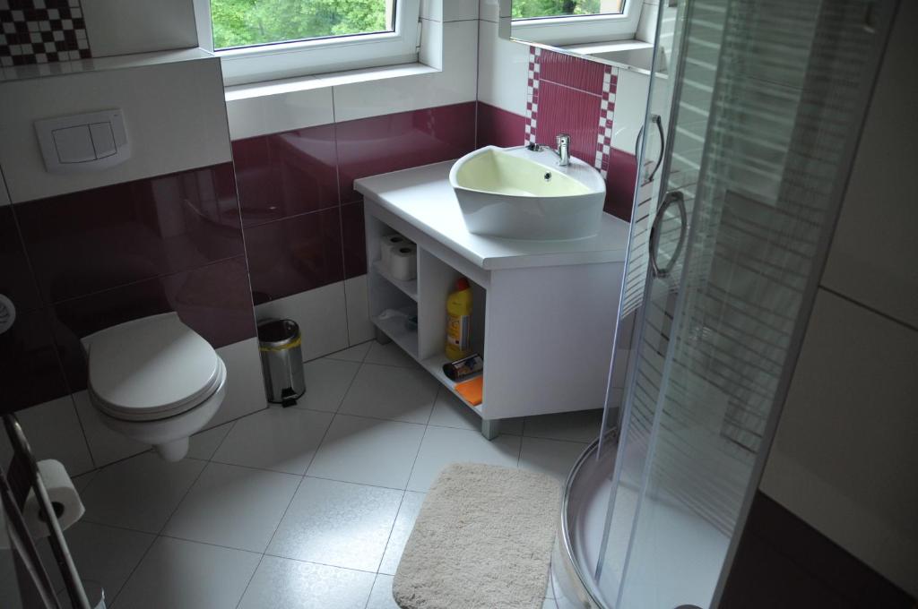 Willa Stenia Center Apartamenty - 6