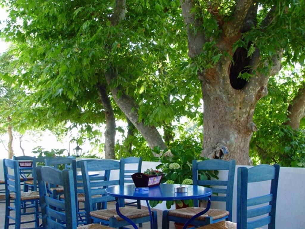 Zahrada ubytování Archondissa Beach Aparthotel