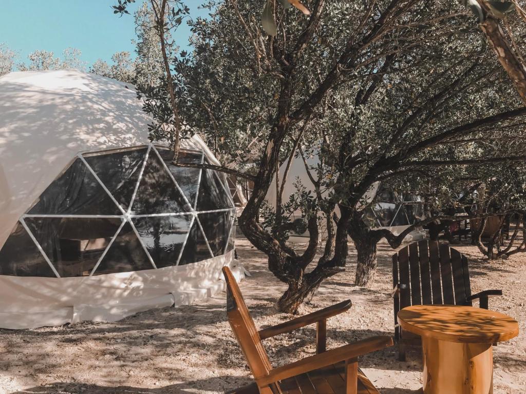 een yurt met een houten tafel en stoelen voor sommige bomen bij Aquamare Beach Camp Resort in Siquijor