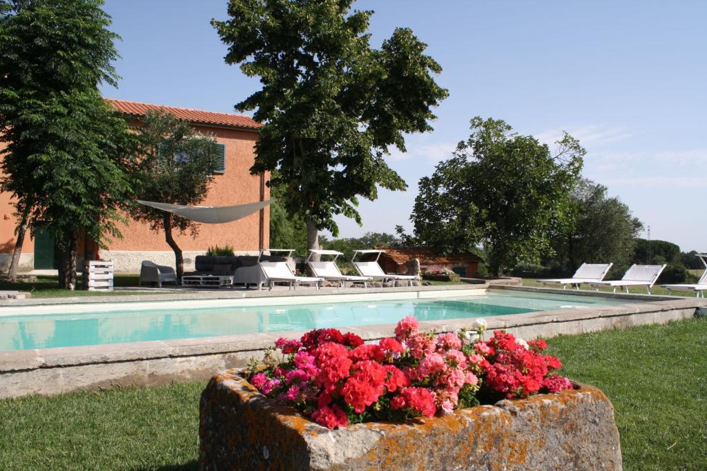 una piscina con un montón de sillas y flores en Ippocastano B&B, en Viterbo