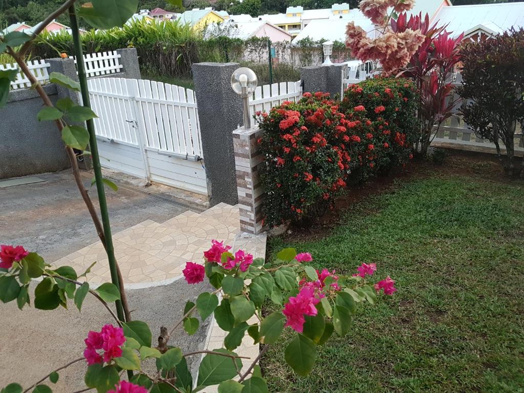 Zahrada ubytování Villa Bois Rose